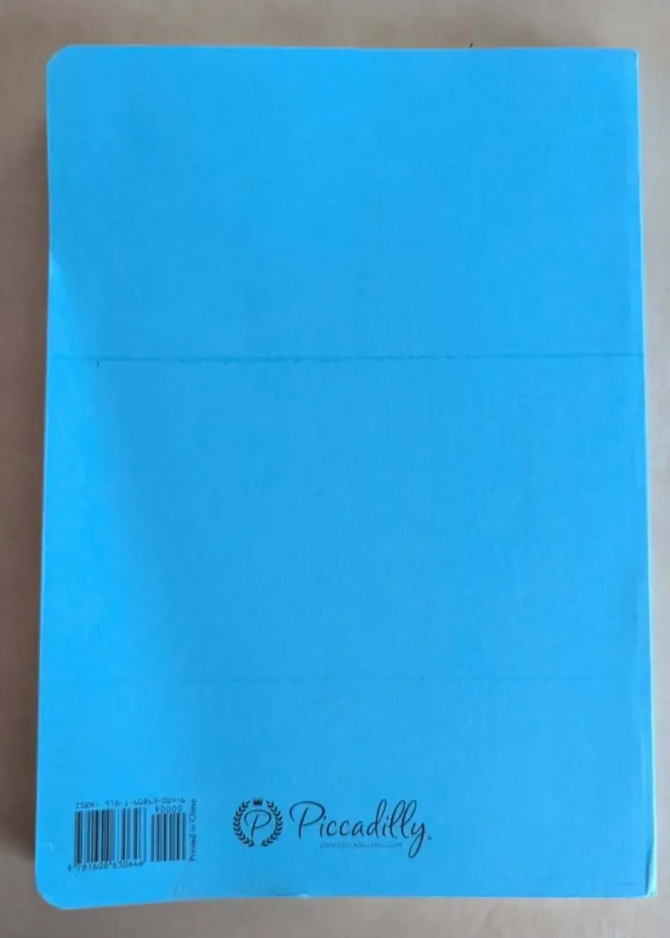 Write the Poem - Small - Lined both Sides by Piccadilly Enterprises Inc.Staff